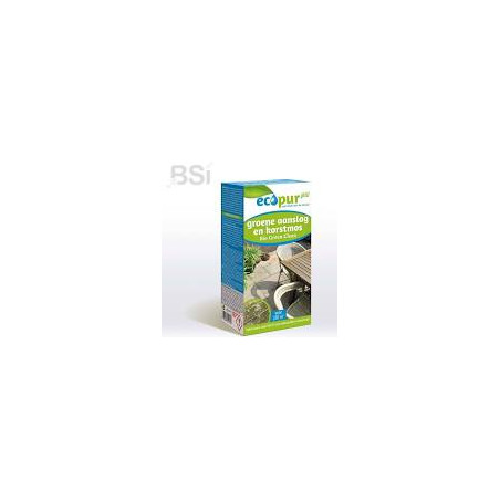 Bio Green Clean 450 ml, 250 m2 reinigingsmiddel tegen alg en mos